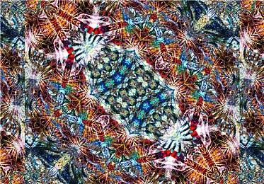 《宝可梦TCG手游》禁止现金交易交换卡牌 违者或被封号